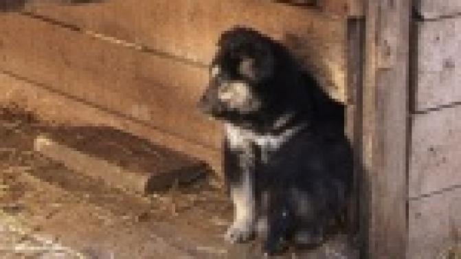 Обрели временный кров и имена.