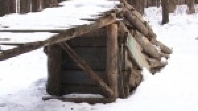 Тренировочная площадка среди леса.