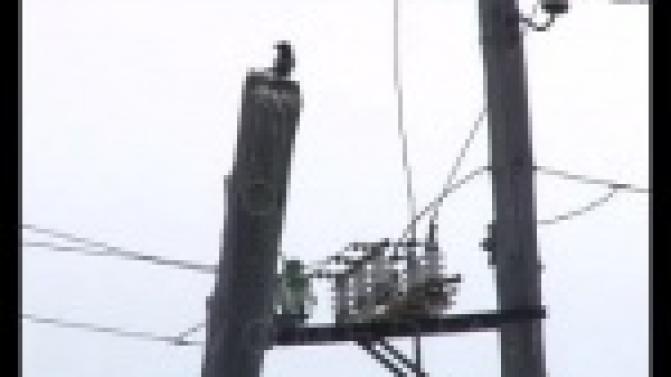 "Застолбили" место для реконструкции