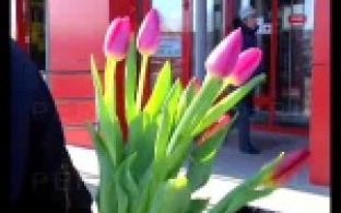 Приятные сюрпризы 8 Марта первоуралочкам устраивали и народные избранники.