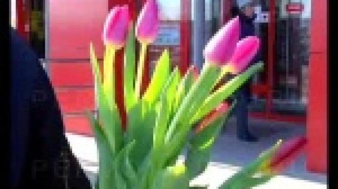 Приятные сюрпризы 8 Марта первоуралочкам устраивали и народные избранники.