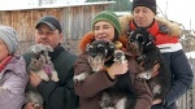 Блины для братьев меньших.