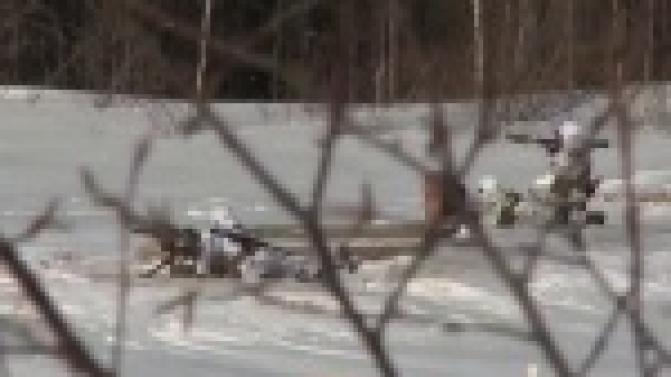 Войска спецназа показали, на что способны.