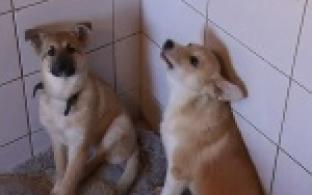 Сегодня во всём мире отмечают День спонтанного проявления доброты.