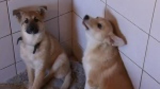 Сегодня во всём мире отмечают День спонтанного проявления доброты.