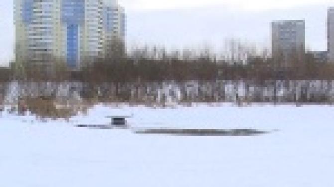 Прогулка по городскому пруду чуть не закончилась трагедией.