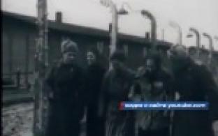 О тяжёлом детстве в годы Великой Отечественной войны вспоминали сегодня гости одной из городских библиотек