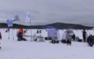 Человек ищет, где хорошо, а рыба, где глубоко