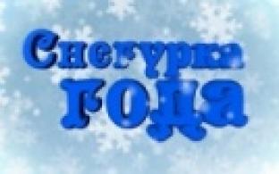 Итоги голосования по проекту «Снегурка года» на 31 декабря