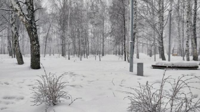 Рабочая неделя в Первоуральске будет прохладной с снежной