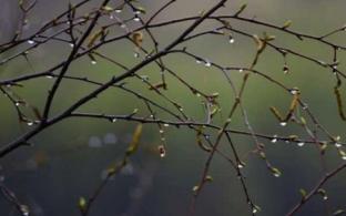 В выходные в Первоуральске станет прохладнее