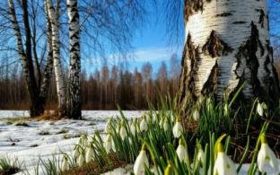 К концу рабочей недели в Первоуральске потеплеет до +19 градусов