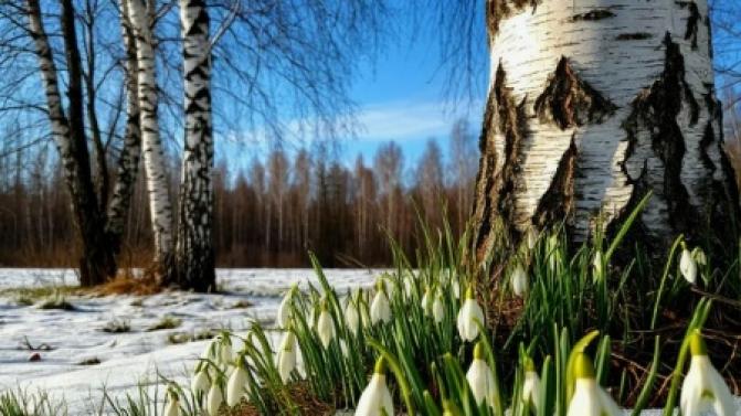 К концу рабочей недели в Первоуральске потеплеет до +19 градусов