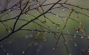 Рабочая неделя в Первоуральске будет тёплой