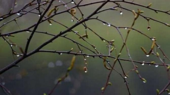 Рабочая неделя в Первоуральске будет тёплой