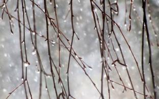 Рабочая неделя в Первоуральске будет тёплой