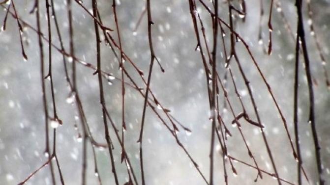 Рабочая неделя в Первоуральске будет тёплой