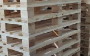 В колонии-поселении в Старых Решётах запущено производство поддонов нового типа