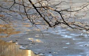 Выходные в Первоуральске будут тёплыми