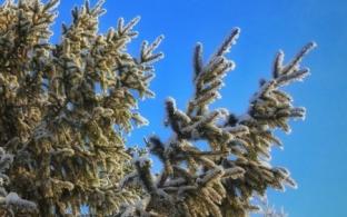 Выходные в Первоуральске будут прохладными