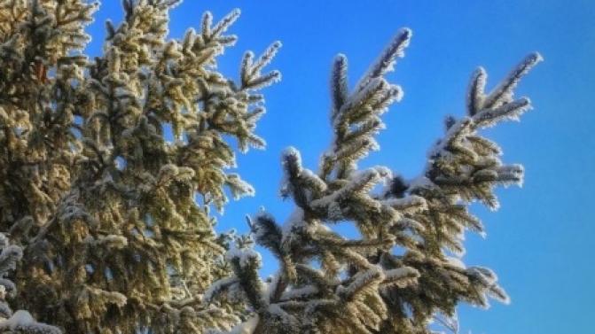 Выходные в Первоуральске будут прохладными