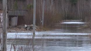 В Билимбае подтопило дом и одиннадцать участков – Чусовая вышла из берегов