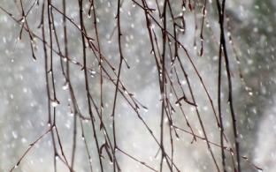 Ночью 0 градусов, днём до +9: погода на выходные 11-12 апреля в Первоуральске