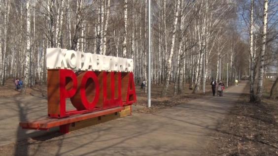 Владимир Путин дал старт всероссийскому голосованию за проекты благоустройства общественных пространств в рамках федерального проекта «Формирование комфортной городской среды»