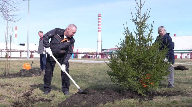 С днём рождения, ТМК!