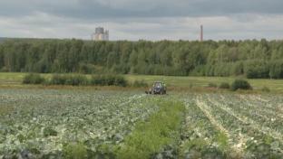 Губернатор Свердловской области Денис Паслер сообщил о дальнейшей поддержке небольших крестьянских хозяйств