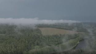 В лесах Первоуральска и всей Свердловской области станет больше рейдов