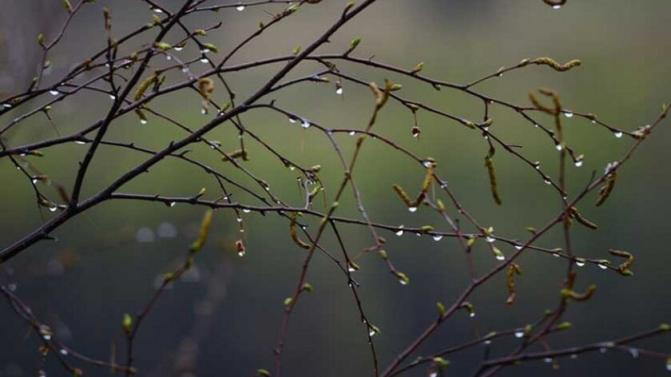 Выходные в Первоуральске будут прохладными