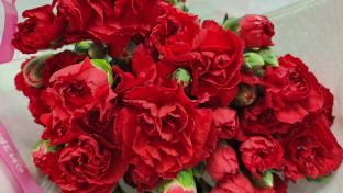 К майским праздникам таможенники Урала оформили более 56 тонн гвоздик