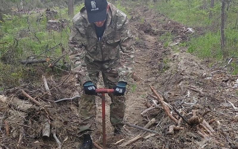 Сотрудник первоуральской КП-66 высадил около ста сеянцев сосны