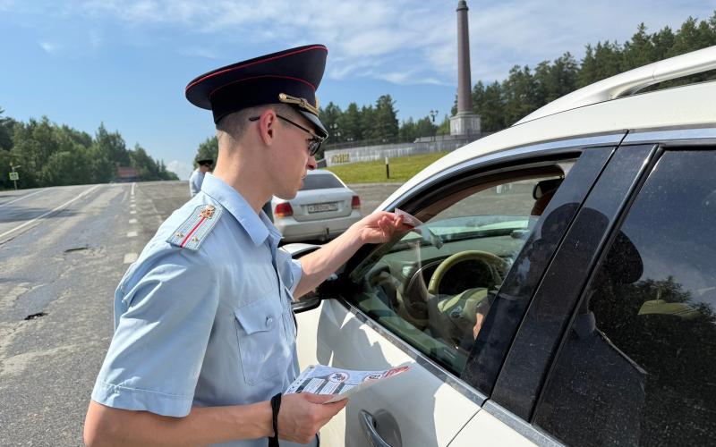 Сотрудники Госавтоинспекции Первоуральска провели серию профмероприятий на автодорогах федерального и регионального значения