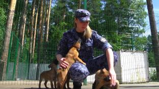 Обучить щенков базовым командам, чтобы в будущем они стали верными напарниками стражей порядка