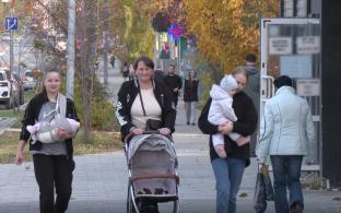 В Свердловской области разработали систему комплексной поддержки рождаемости и многодетности