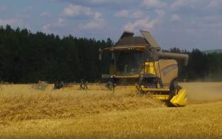 Более 80% зерновых культур уже убраны с полей Свердловской области