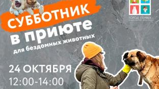 Первоуральцев приглашают на субботник в приют для бездомных животных