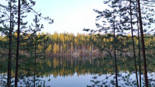 Выходные в Первоуральске будут достаточно тёплыми