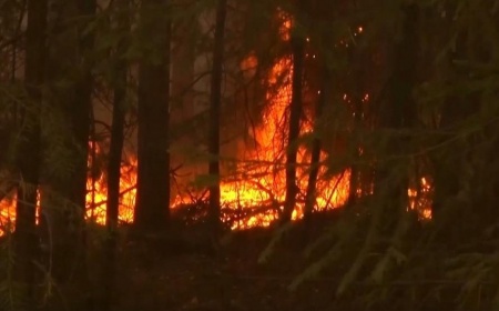 Ситуация с распространением природных пожаров в Свердловской области