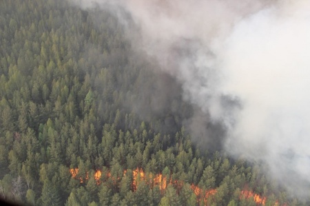 9 лесных пожаров ликвидировано на Среднем Урале за минувшие сутки