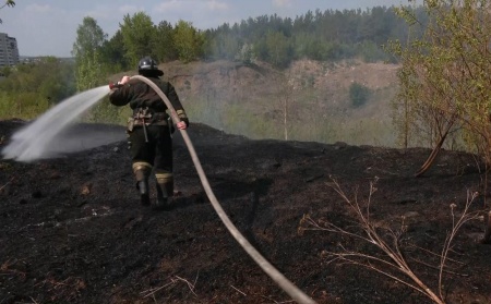 Ликвидированы все лесные пожары в Свердловской области