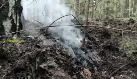 Возгорание в лесу в районе Динаса