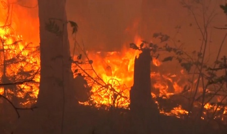 В Свердловской области продолжаются лесные пожары