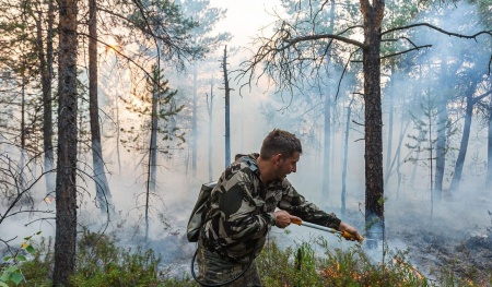 Борцы с лесными пожарами в Свердловской области получат выплаты от губернатора 