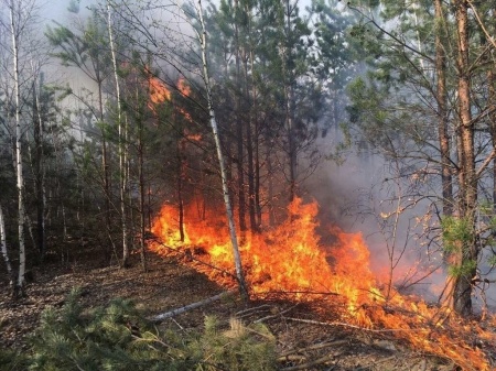 Пожароопасный сезон объявлен в Свердловской области с 5 апреля