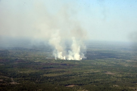  В Свердловской области отменили противопожарный режим